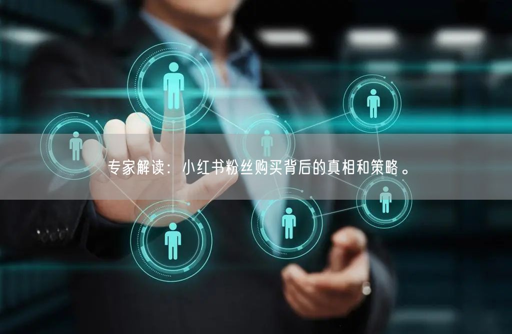 专家解读：小红书粉丝购买背后的真相和策略。