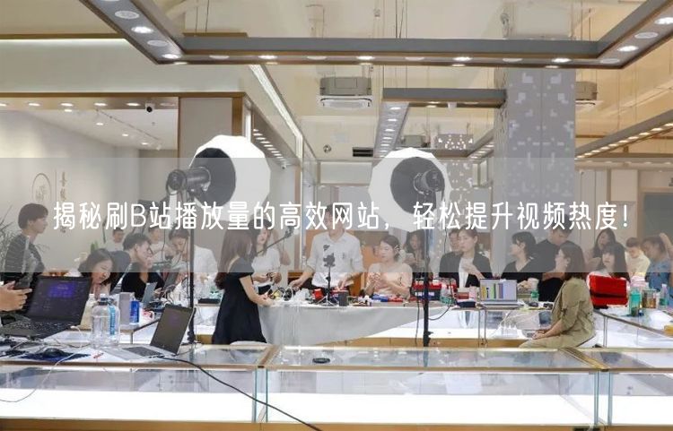揭秘刷B站播放量的高效网站，轻松提升视频热度！