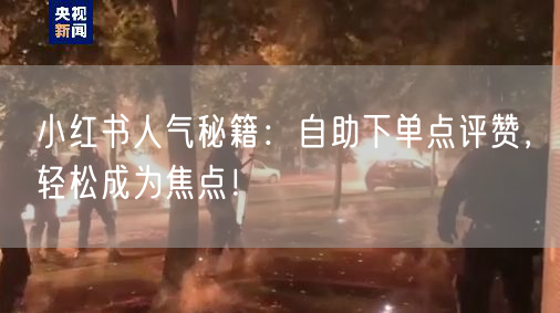 小红书人气秘籍：自助下单点评赞，轻松成为焦点！
