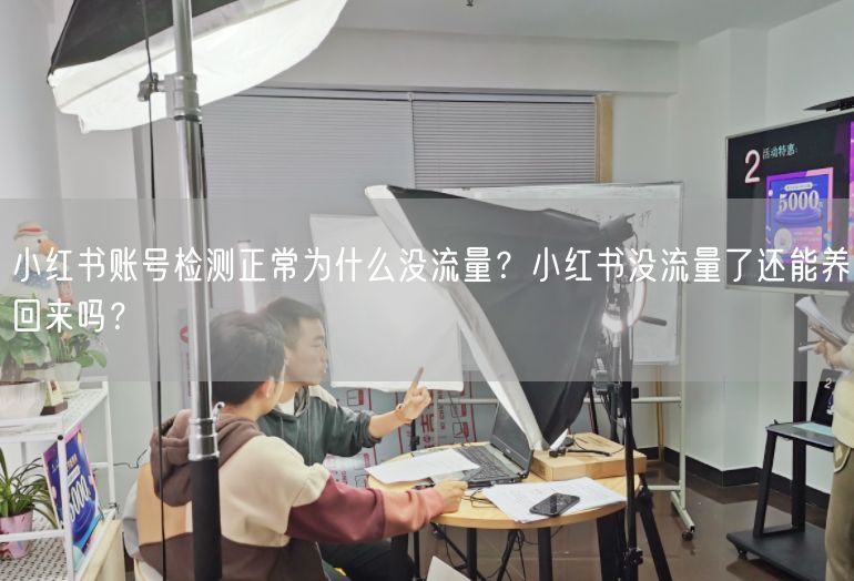 小红书账号检测正常为什么没流量？小红书没流量了还能养回来吗？