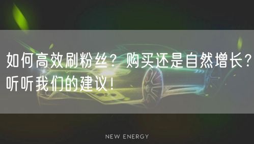 如何高效刷粉丝？购买还是自然增长？听听我们的建议！