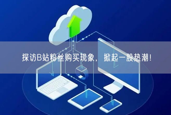 探访B站粉丝购买现象，掀起一股热潮！